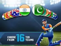 Cricket T20 2017-Multiplayer Game Screen Shot 4