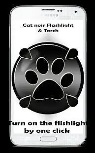 Miraculous Flashlight and torch Cat noir Screen Shot 1