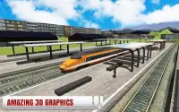 Train Driving : Impossible Euro Rail Track Sim 3D Screen Shot 1
