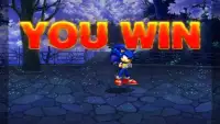 Sonic Pirate Fighting Screen Shot 2