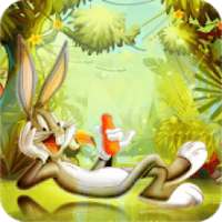 Looney Dash : Free Subway Bunny Adventure