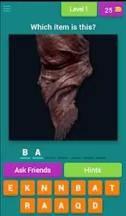Guess the Picture Quiz for Pubg Screen Shot 1