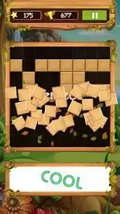 Block Wood Puzzle 2019 Screen Shot 2