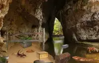 Can You Escape Bear Cave Screen Shot 0