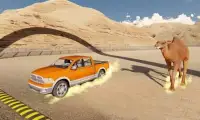 Desert Monster Truck Stunts - Camel Racing Game Screen Shot 6