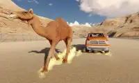 Desert Monster Truck Stunts - Camel Racing Game Screen Shot 3
