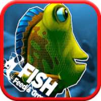 feed And grow fish adventure