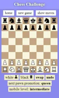 Chess Challenge Screen Shot 4