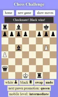 Chess Challenge Screen Shot 2
