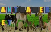 Words Games Animal Series For Kids Screen Shot 1