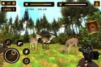 Deer hunter shooter Screen Shot 3