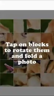 Dog Tile Puzzle - Labrador Retriever Puppy Screen Shot 4