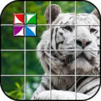 Tile Puzzle Harimau Putih