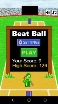 Beat Ball: Cricket Screen Shot 1