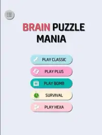 Brain Puzzle Mania Screen Shot 3