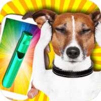 Ultrasonic Whistle for Dogs Simulator