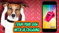 Ultrasonic Whistle for Dogs Simulator Screen Shot 1