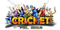 IPL Cricket Game 2018 T20 Screen Shot 0