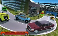 Limo Taxi Driving Simulator: VIP Pick & Drop Screen Shot 4