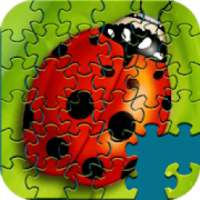 Jigsaw Puzzles Story