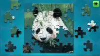 Jigsaw Puzzles Story Screen Shot 0