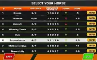Bet on Horse: Racing Simulator Screen Shot 5