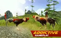 Rooster Wild Fighting : Farm Battle Run Screen Shot 1