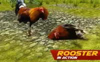 Rooster Wild Fighting : Farm Battle Run Screen Shot 0