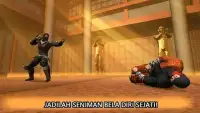 Ninja Kung Fu Fighting 3D - 2 Screen Shot 0