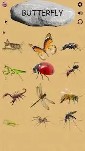 Insects - Learning Insects. Practice Test Sound Screen Shot 4