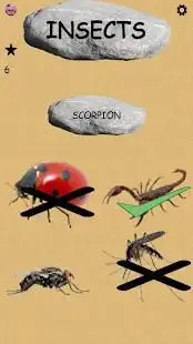 Insects - Learning Insects. Practice Test Sound Screen Shot 0