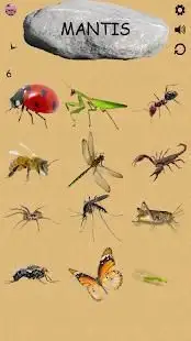 Insects - Learning Insects. Practice Test Sound Screen Shot 5