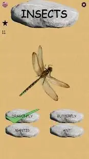 Insects - Learning Insects. Practice Test Sound Screen Shot 2
