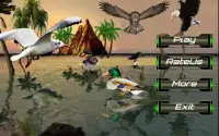Birds Flying Eagle Simulator 3D Screen Shot 4