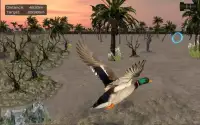 Birds Flying Eagle Simulator 3D Screen Shot 0