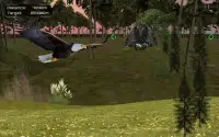 Birds Flying Eagle Simulator 3D Screen Shot 2