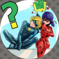 Ladybug e Cat Noir - Adivinhe o Personagem