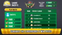 Pakistan Cricket League Screen Shot 4