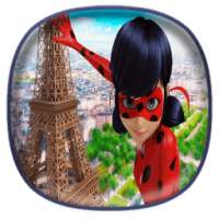 Miraculous Ladybug Memory Cards - free games