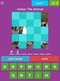 Animals Guessing Screen Shot 4