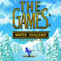 Winter Challenge Sports