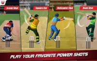 World T20 Cricket Champs 2018 Screen Shot 9