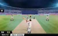 World T20 Cricket Champs 2018 Screen Shot 2