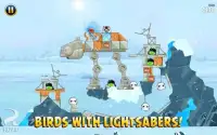 Angry Birds Star Wars HD Screen Shot 8