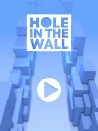 Hole in the Wall Screen Shot 0