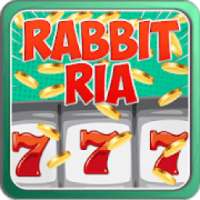 Rabbit Ria