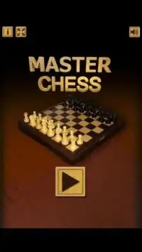Master chess Screen Shot 0