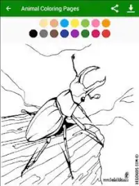 Animal Coloring Pages Screen Shot 3