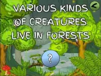 Forests for Children by W5GO Screen Shot 5