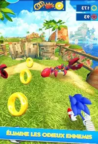 3D Sonic Adventure Run Screen Shot 2